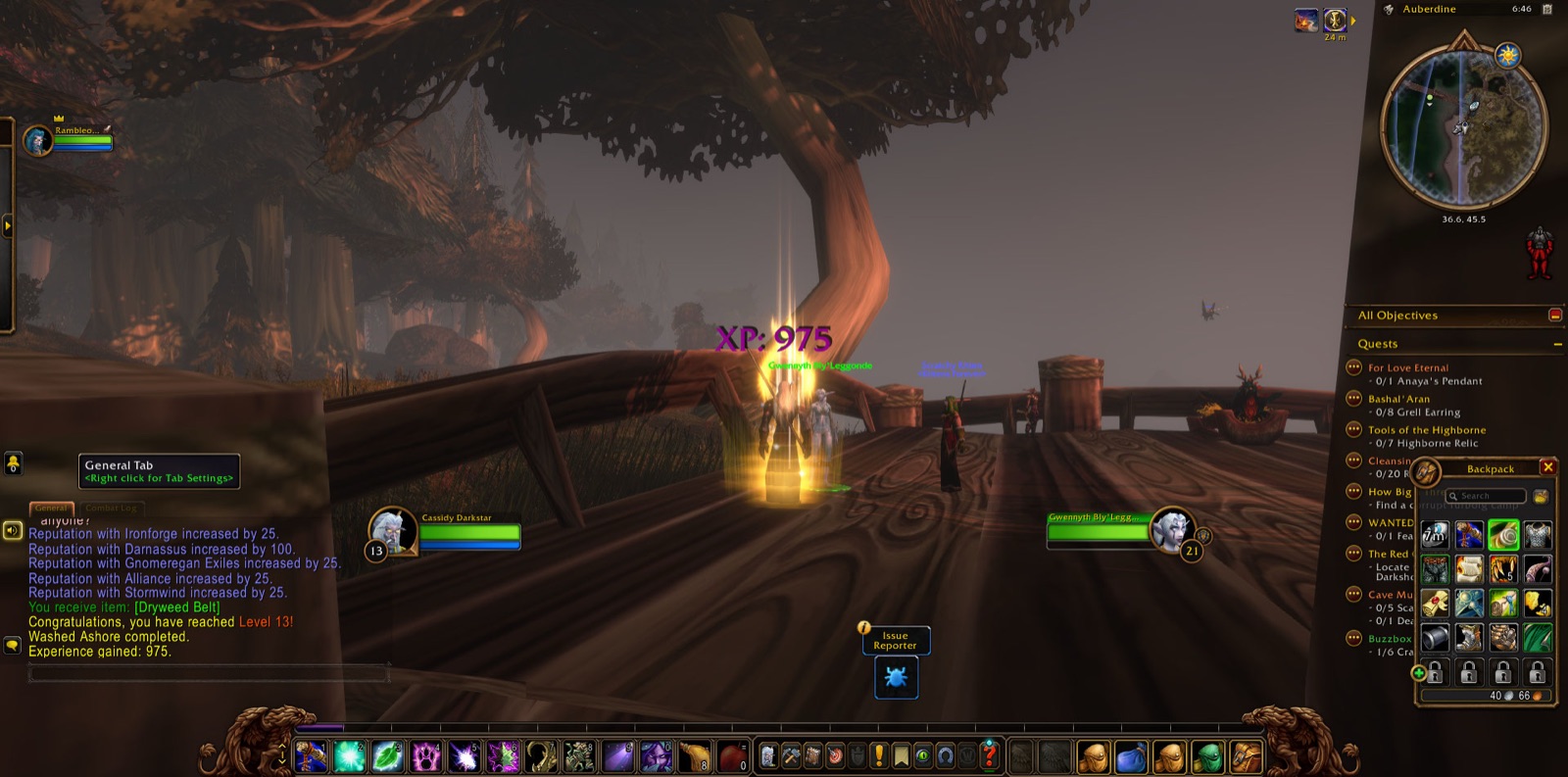 Reached Level 13 in Auberdine