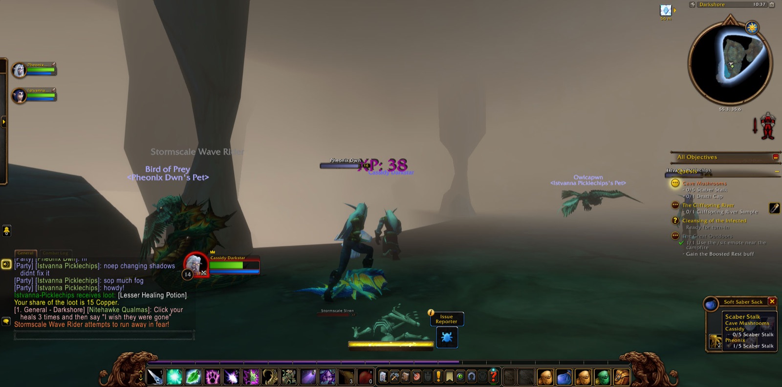 Screenshot in Darkshore