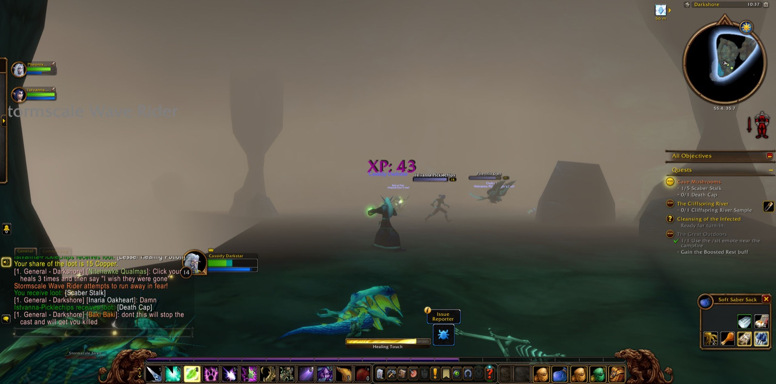 Screenshot in Darkshore