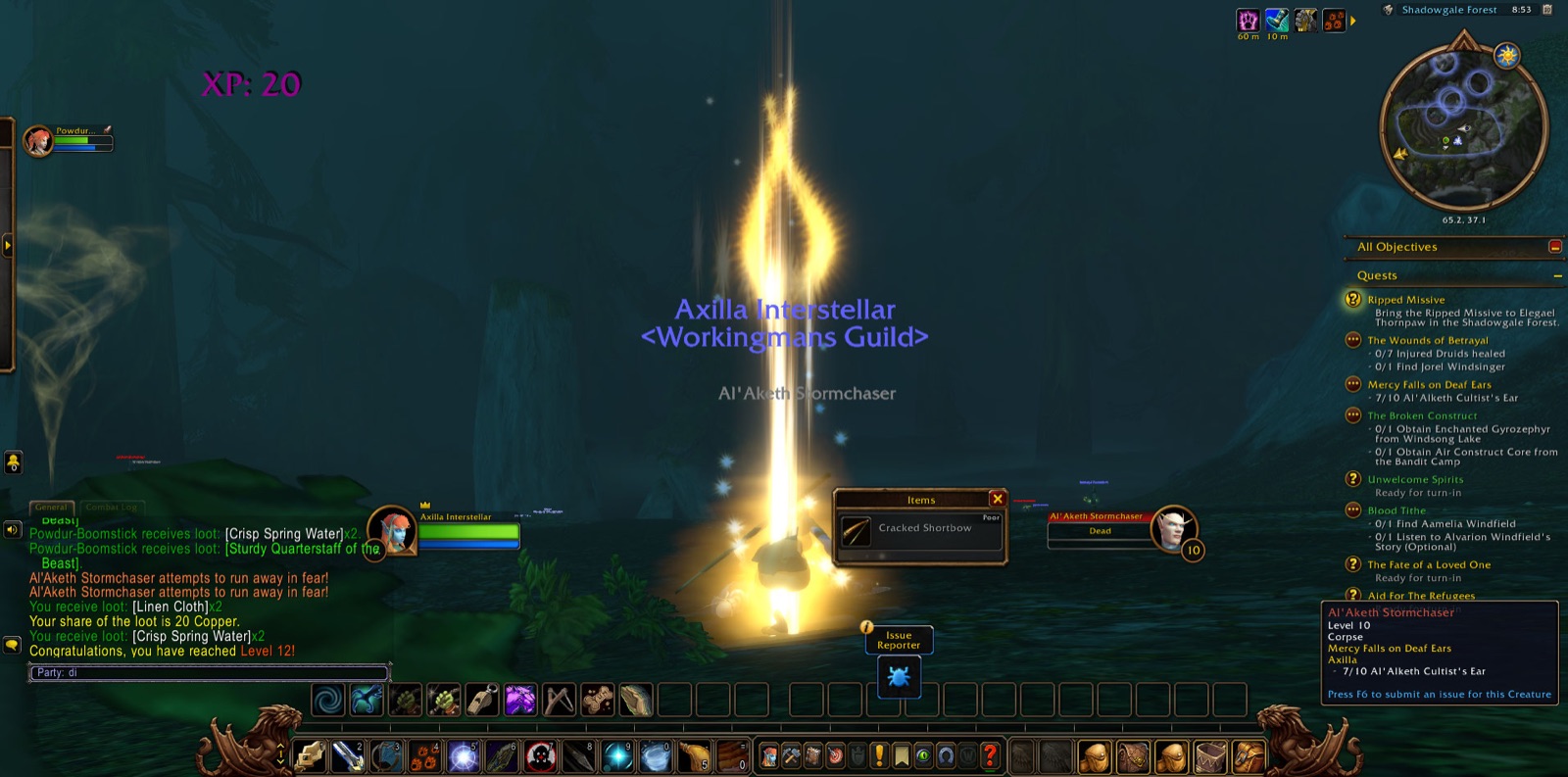 Reached Level 12 in Shadowgale Forest