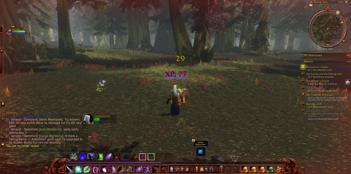 Screenshot in Bashal'Aran